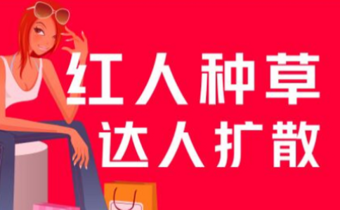 小红书推广公司，让您了解广告策略的评测对比